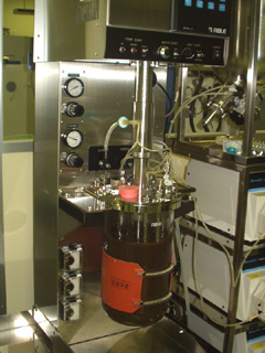 Biomass saccharification equipment